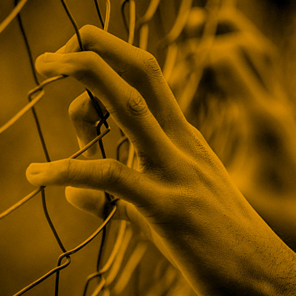 close-up of dark-skinned hands with fingers on chain link fence