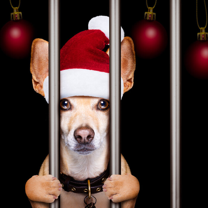 Rudolph the red-nosed reindeer behind bars