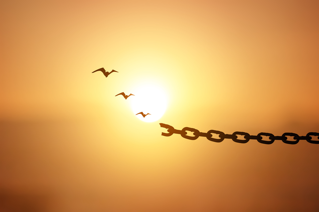 chains breaking and free birds that flies away at sunset